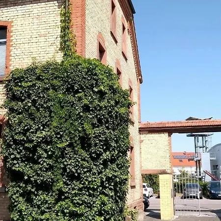 Schones Nahe Weinstrasse Und Pfalzer Wald Apartment