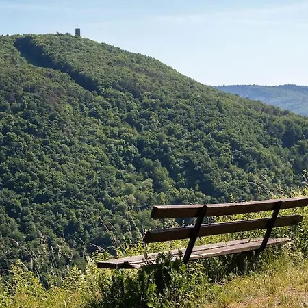 Schones Nahe Weinstrasse Und Pfalzer Wald