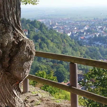 Schones Nahe Weinstrasse Und Pfalzer Wald Apartment *