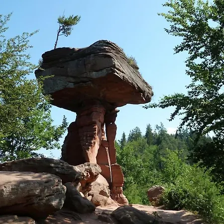 Schones Nahe Weinstrasse Und Pfalzer Wald Mutterstadt