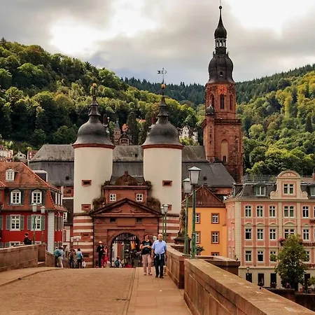 Schones Nahe Weinstrasse Und Pfalzer Wald Apartment *